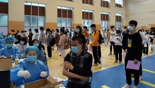 玉山当事人爆料最新消息,揭秘事件背后惊人真相  第2张